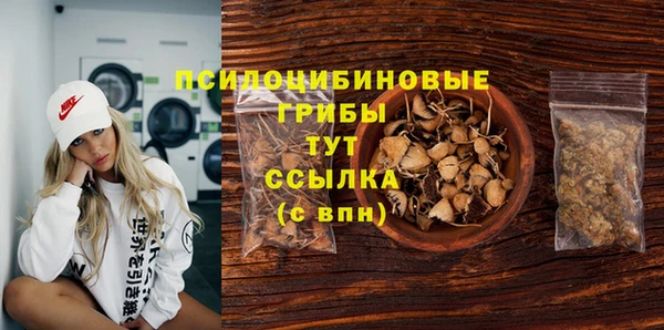 spice Аркадак