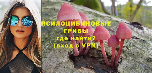мдпв Арсеньев