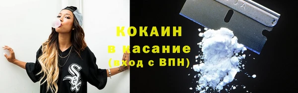 spice Аркадак