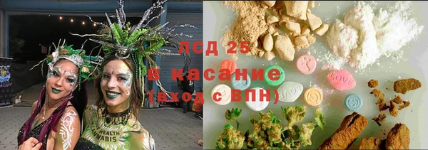 spice Аркадак