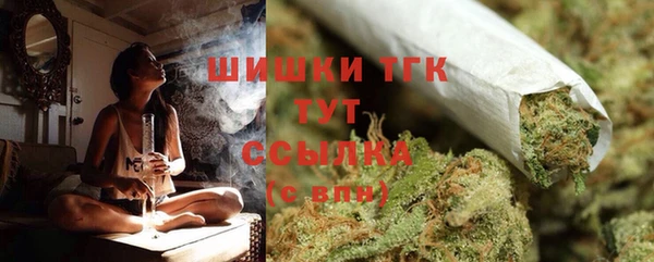 spice Аркадак